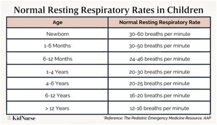 Explore Normal Breathing Rates For Newborns: Essential Guide