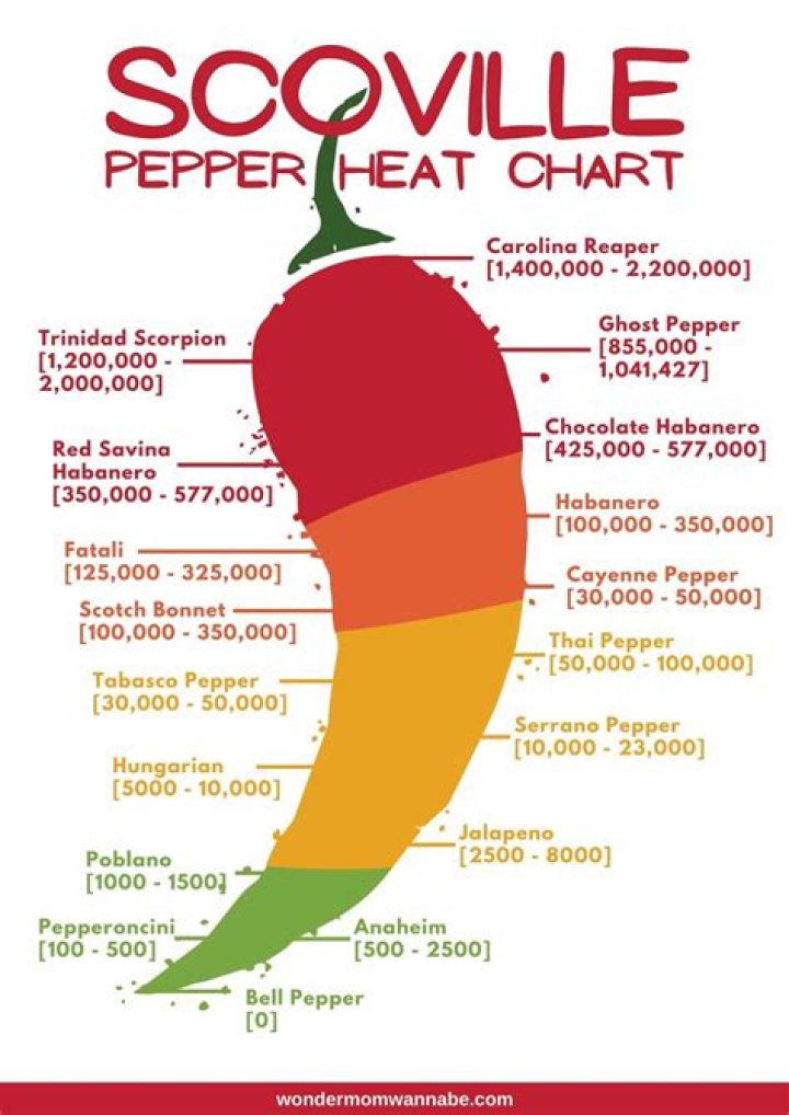 Exploring The Red Hot Chili Peppers Legend's Longevity