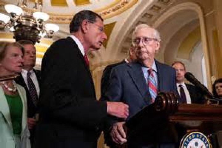 Exploring The World Of Mitch McConnell's Children