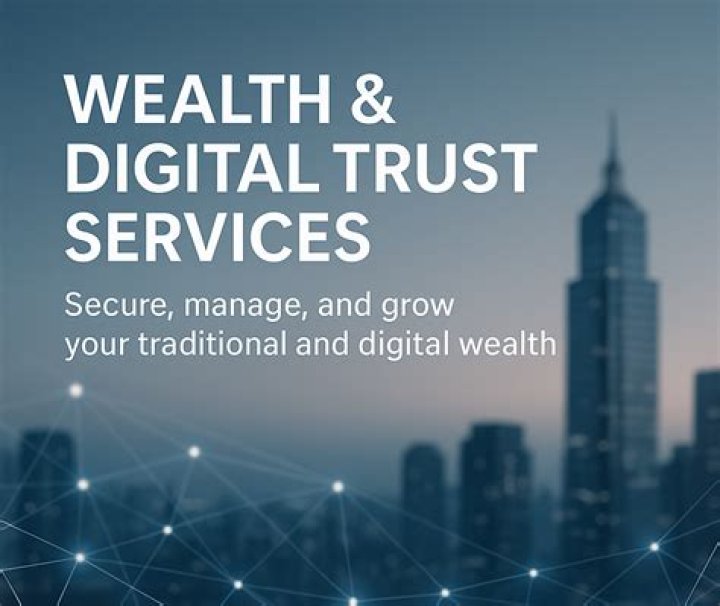 Exploring Wealth And Digital Influence