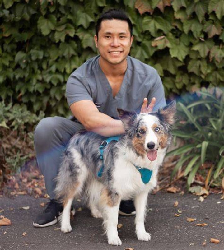 Find A Compassionate And Experienced Veterinarian | Danielle Spencer, DVM