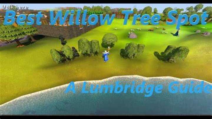 Find The Best Locations For Runescape Willow Trees