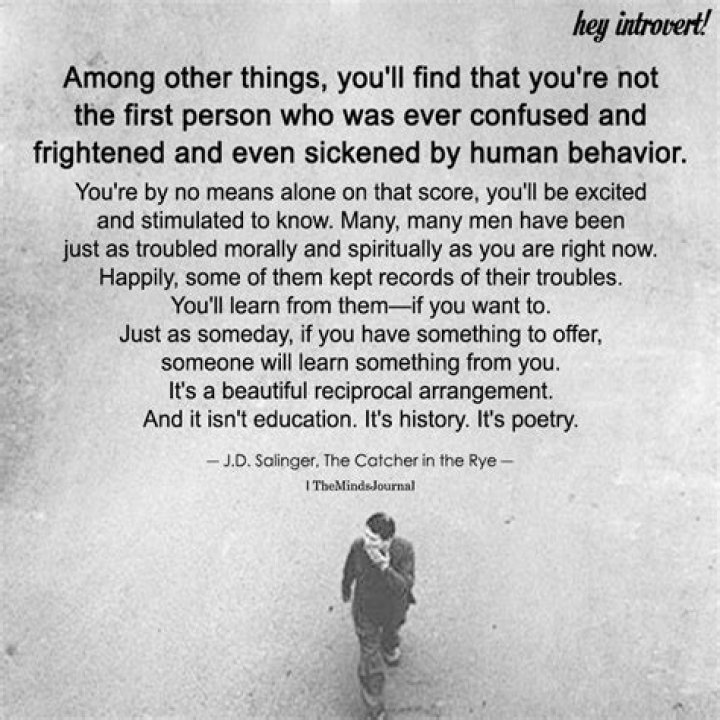 Find What You're Looking For With Seznam.cz