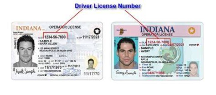 Find Your Driver's License Number: A Quick Guide