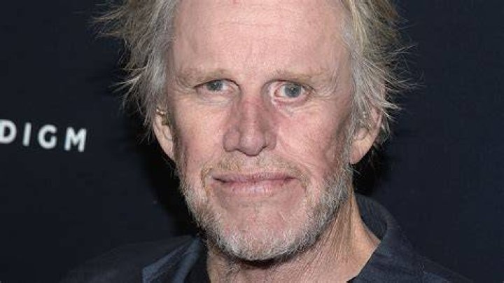 Gary Busey's Downfall: From Hollywood Star To Troubled Realities