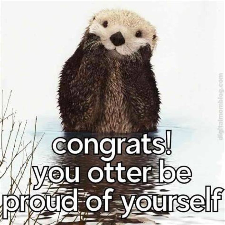 Hilarious Memes To Express Your Congrats | Memes For Congratulations