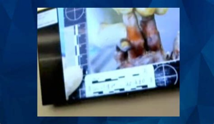 Horrifying Gannon Stauch Crime Scene Photos Reveal Gruesome Details