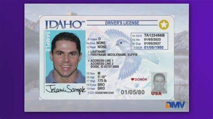 How To Easily Find Your Driver's License Number Today