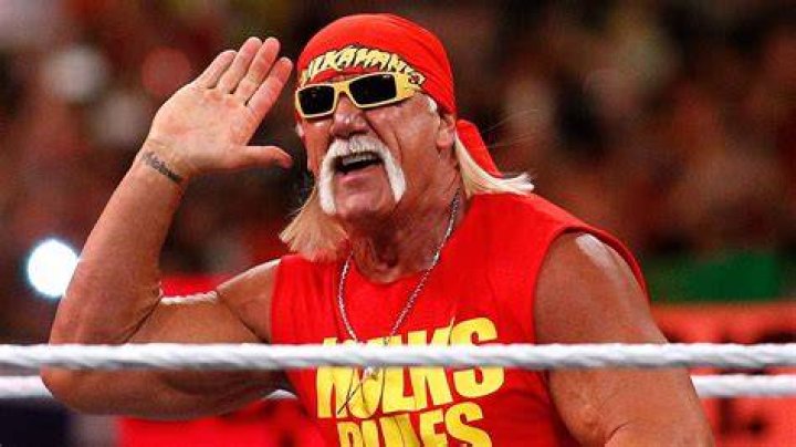 Hulk Hogan's Brother Passes Away: Tragic Loss For Wrestling Icon