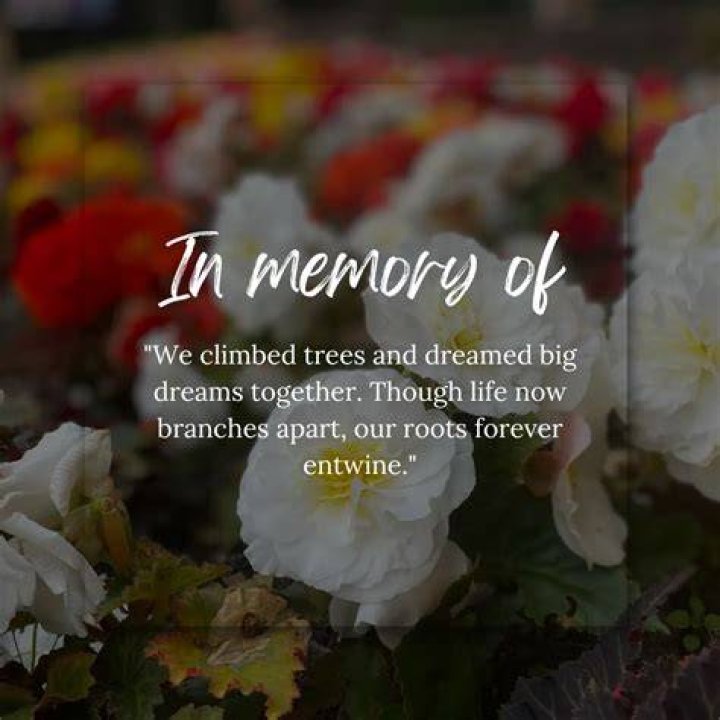 In Memoriam: Remembering The Life And Legacy Of Jeff Abercrombie