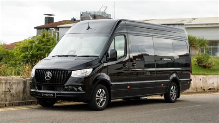 Insights Into The Sprinter's Physicality