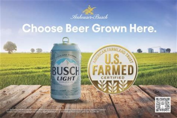 Is Pacifico Anheuser-Busch: The Ultimate Authority On Ownership Unraveled