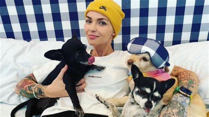 Is Ruby Rose Married - Love Life And Relationships Of The Australian Actress
