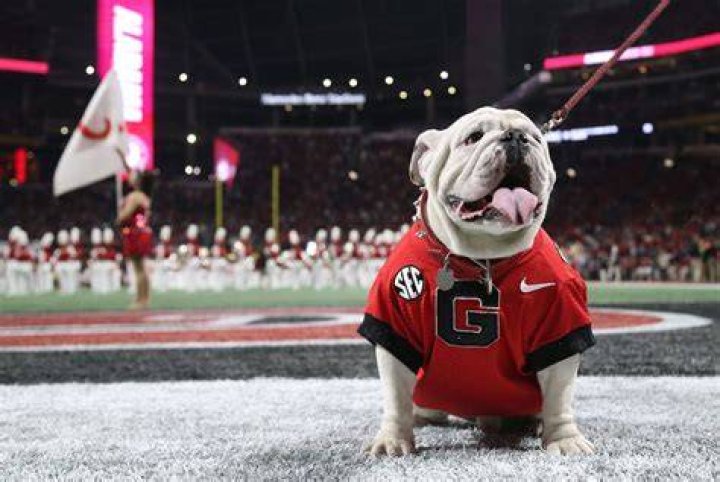 Is Stetson Bennett's Illness Impacting The Georgia Bulldogs?