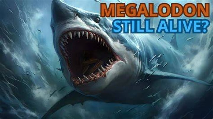 Is The Megalodon Still Alive Today? The Ultimate Truth Revealed
