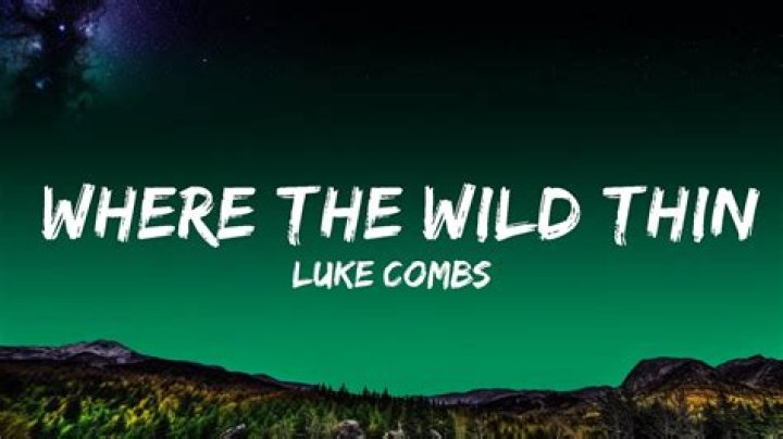 Is Where The Wild Things Are A Song About Luke Combs' Brother?