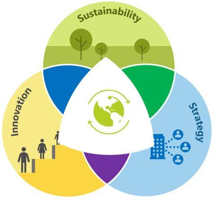 Janet Ossenbaard: A Rising Star In Sustainability And Innovation