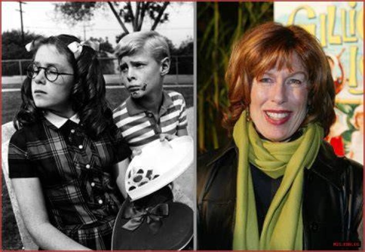 Jay North: The Child Star's Journey From "Dennis The Menace" To Hollywood