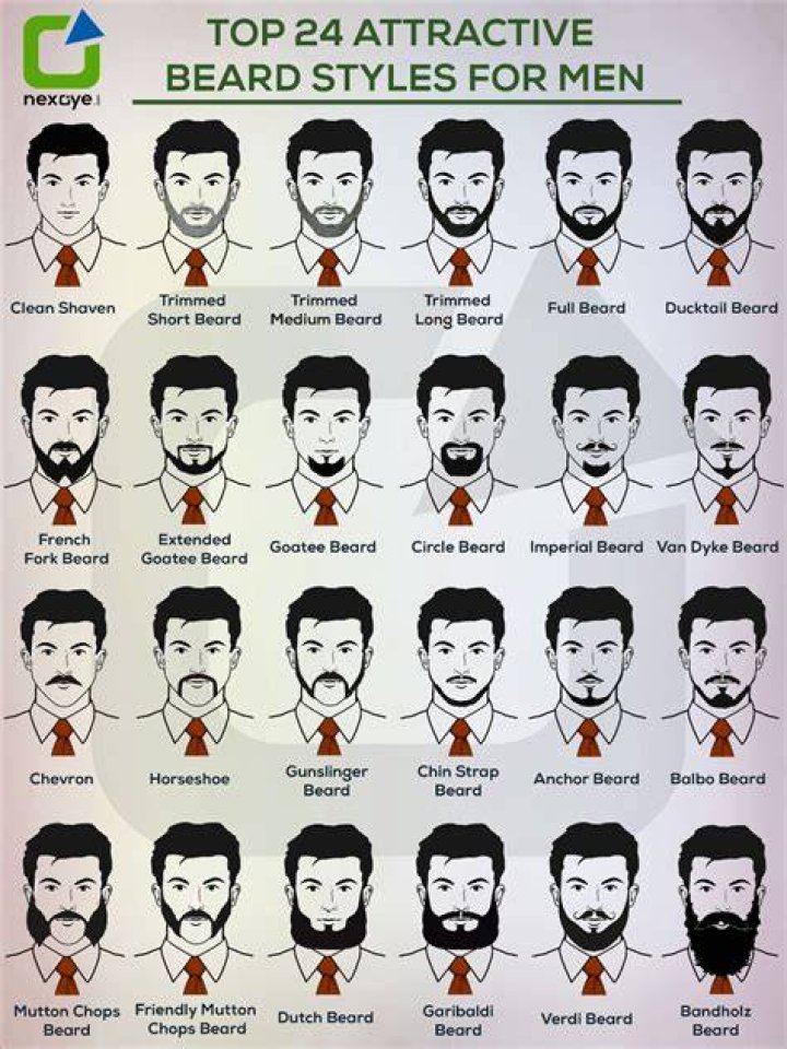 Jeff Goldblum's Iconic Beard: The Definitive Guide