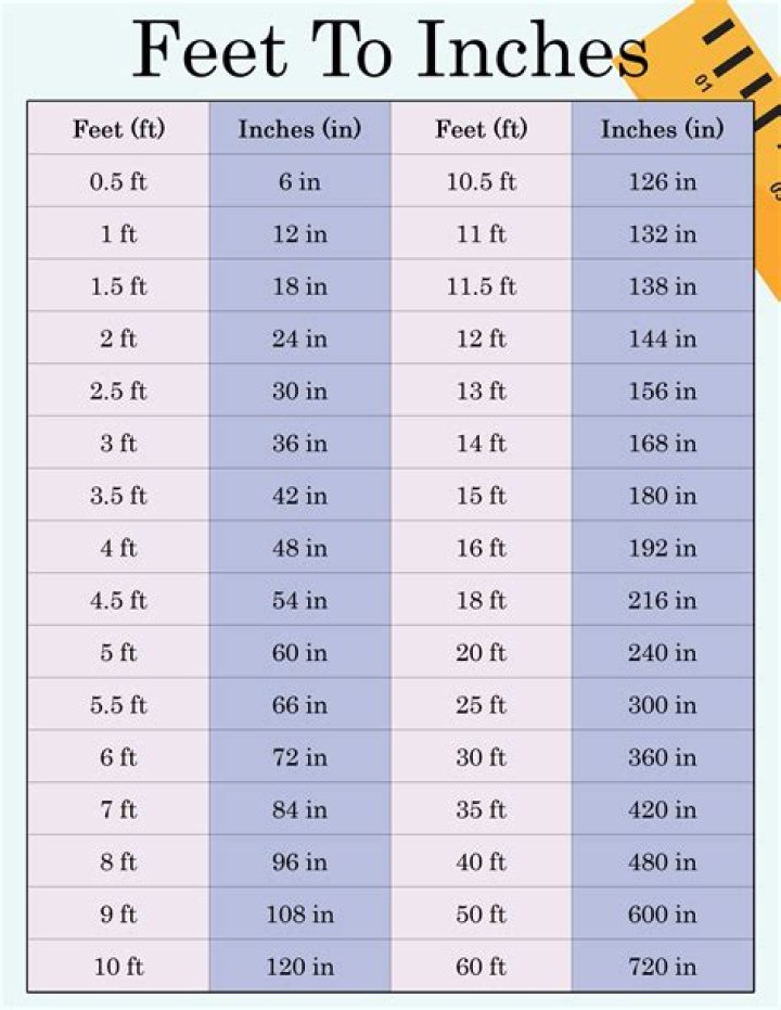 Know Andrew Scott Height In Feet: A Quick Guide