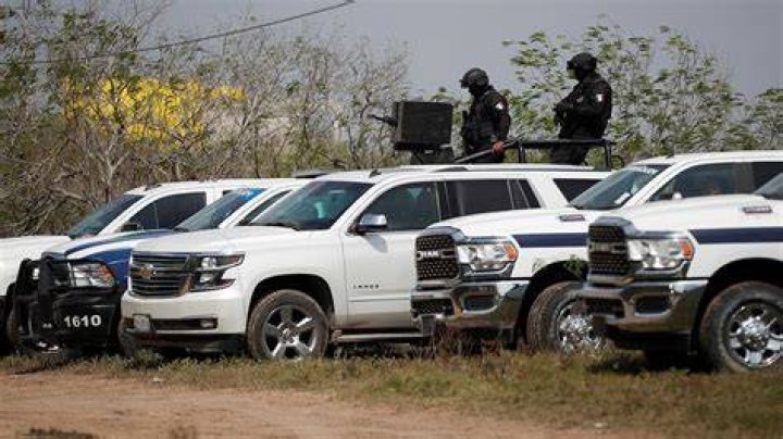 Latest CJNG Cartel Video Footage Reveals Shocking Truth