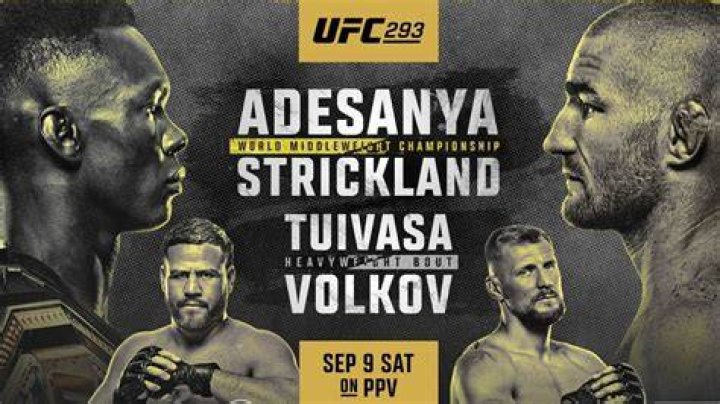 Latest UFC 293 Payouts