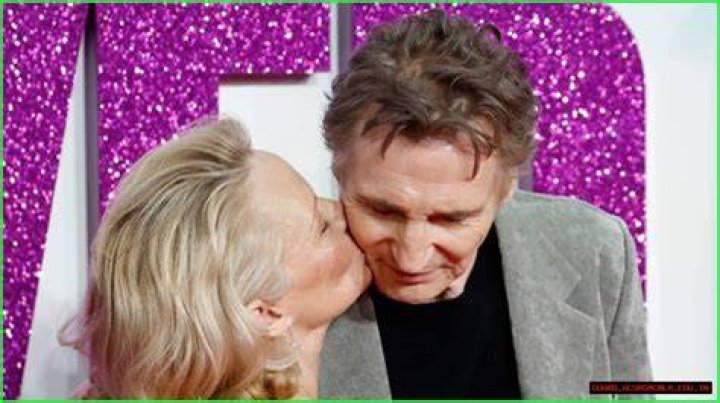 Liam Neeson Sparks Romance Rumors With New Partner