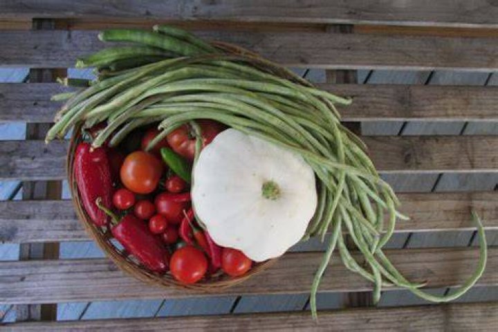 Lil Pnut: The Ultimate Guide To Growing And Cooking This Delicious Legume