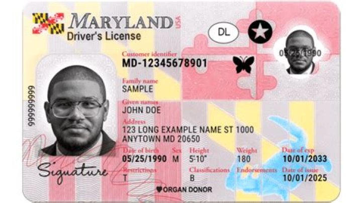 Locate Your Driver's License Number: A Comprehensive Guide