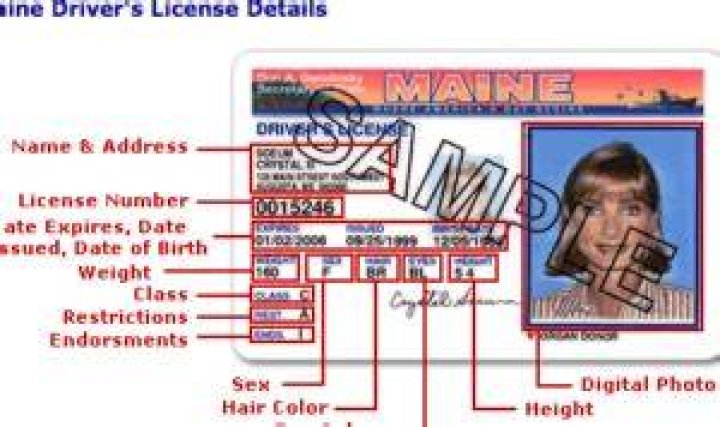 Locate Your Driver's License Number Easily - Guide