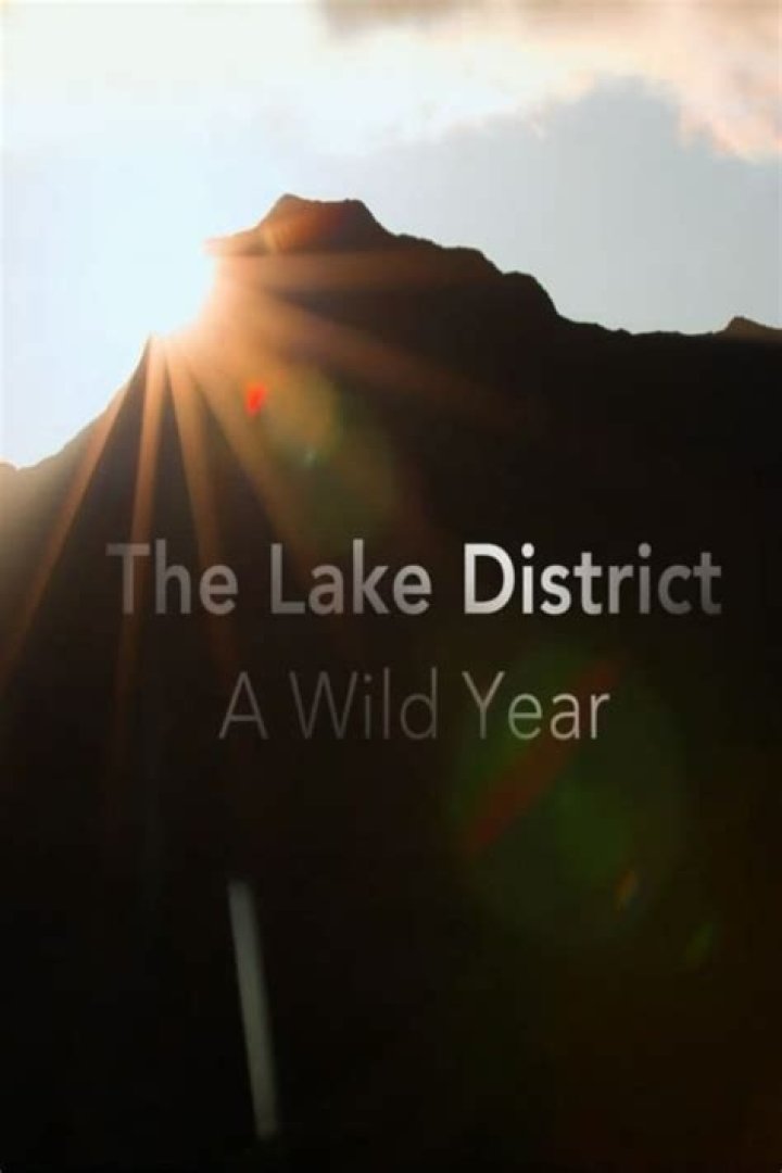 Love Through The Wild Year: A Journey Of Passion And Resilience