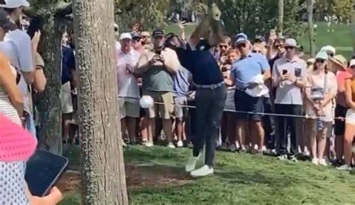 Max Homa's Educational Journey: Unlocking Success Beyond Golf