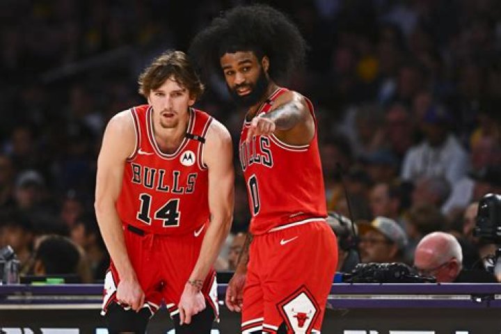 Meet The Talented Nuggets And Bulls Players: Dominating The Court