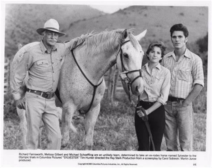Michael Schoeffling: Hollywood Hunk In Hit Movies