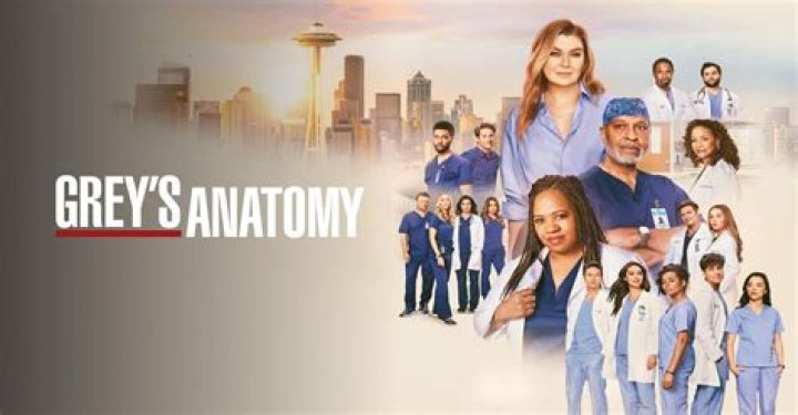 Must-Watch: Grey's Anatomy Now Streaming On Netflix