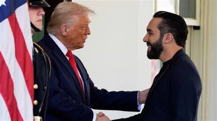 Nayib Bukele's Stature: A Comprehensive Guide To His Height