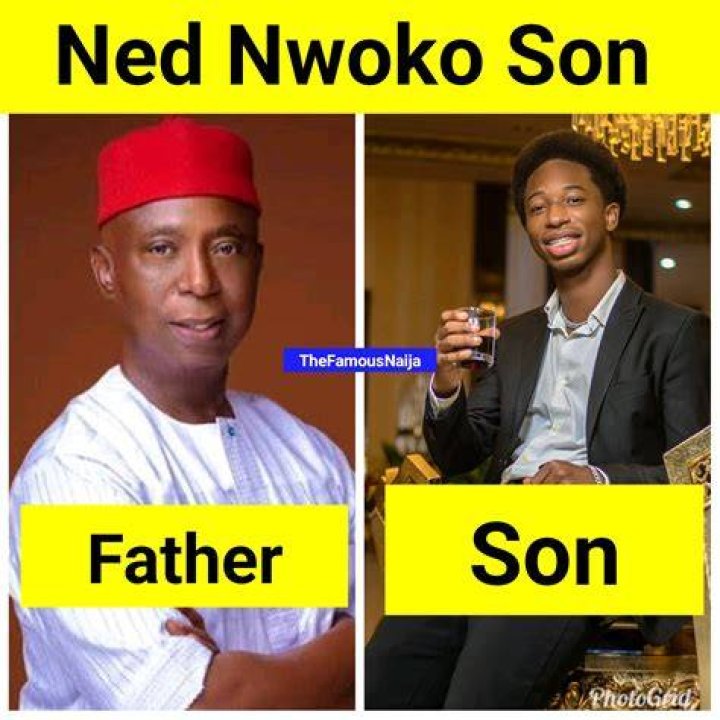 Ned Nwoko's Age And Its Impact