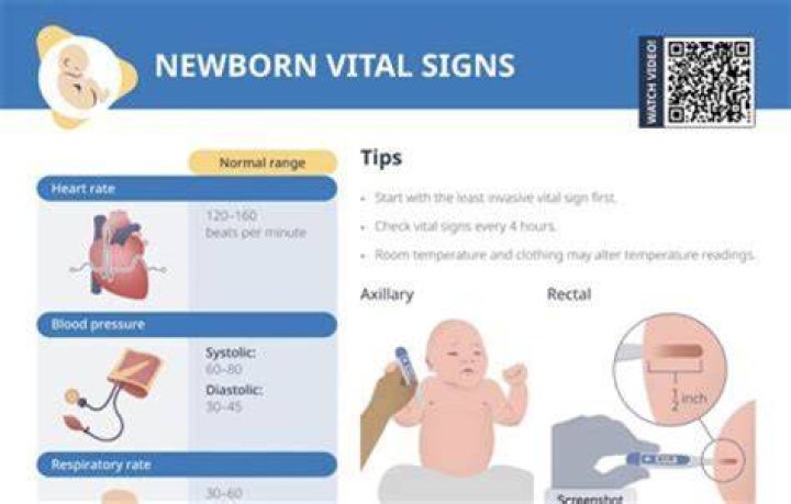 Newborns' Respiration Rate: A Guide To Understanding Their Breathing