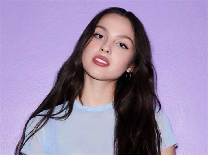 Olivia Rodrigo's Brother: A True Star In The Making