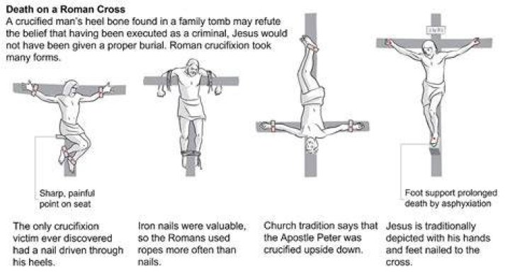 Outrageous Act: Student's Cruel Crucifixion Of Rat Exposed