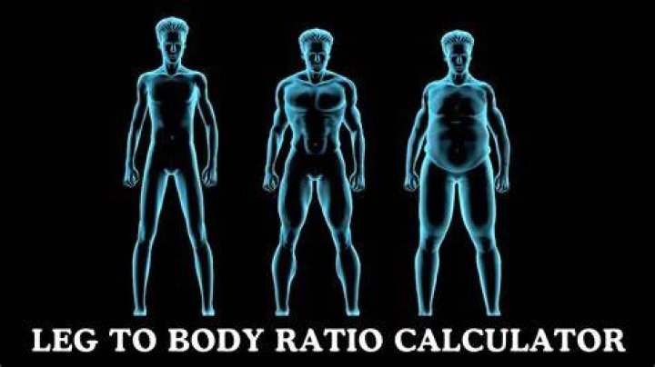 Perfect Leg To Body Ratio: The Ultimate Guide To Measuring And Improving Yours