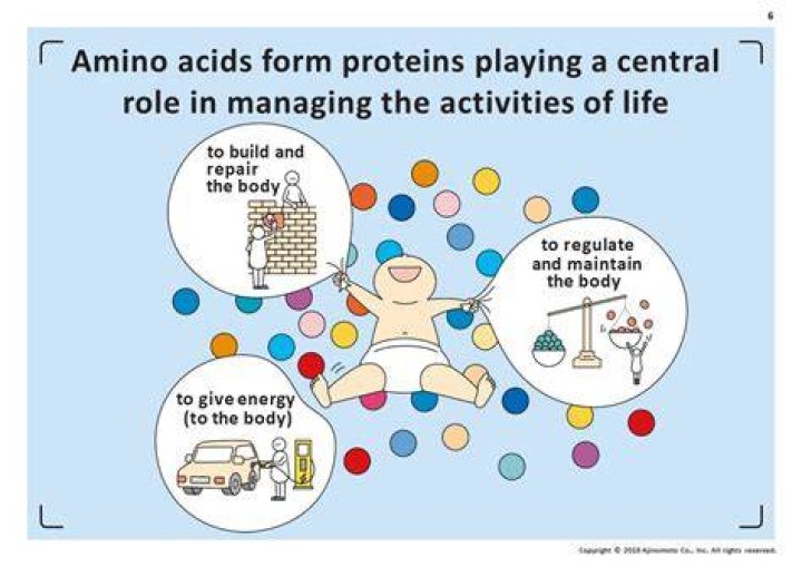 Polar Charged Amino Acids: Essential Building Blocks Of Life