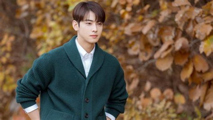 Popular Rising Star: Cha Eun Woo's Charm And Accomplishments