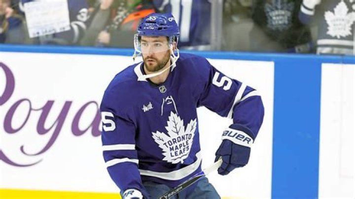Professional Insights From Hockey Star Nicolas Roy