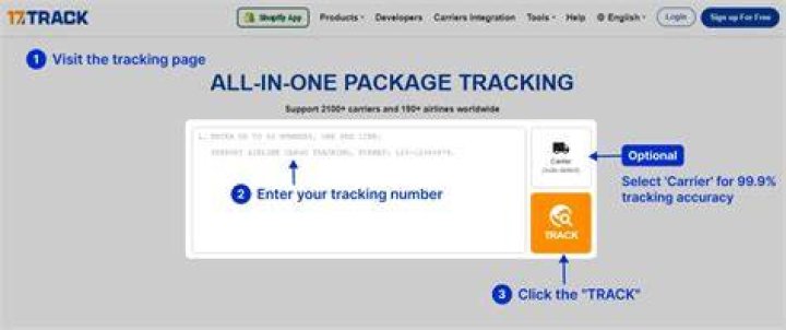 Real-Time Tracking: Current Net Worth In One Click