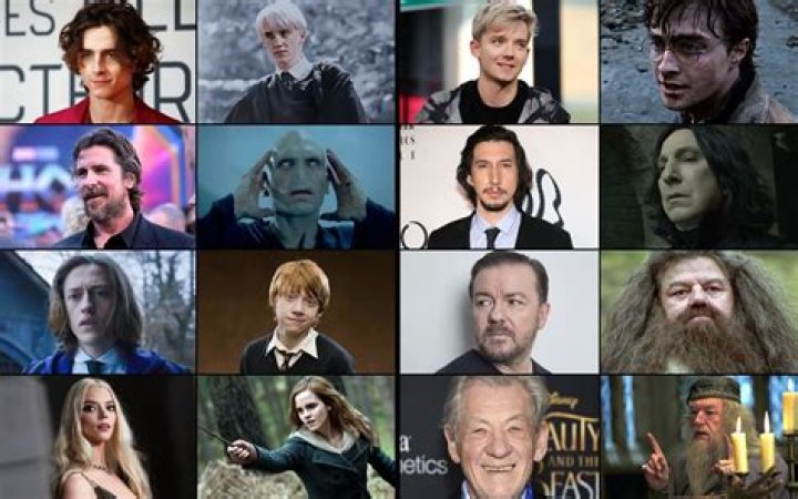 Remembering The Departed: Deceased Actors From The Harry Potter Franchise
