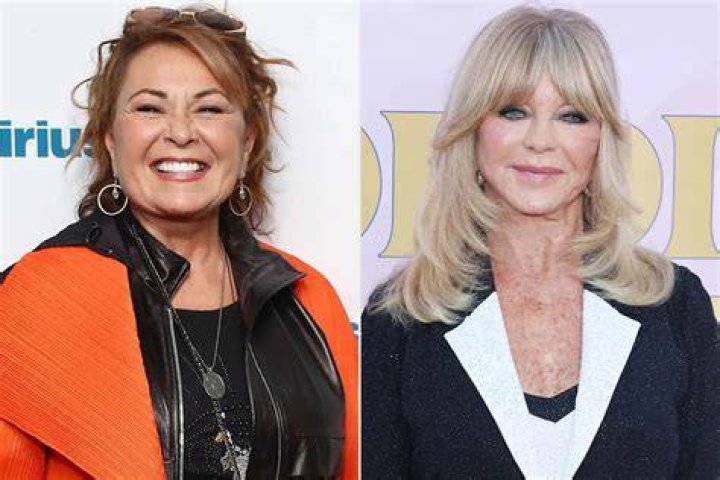 Roseanne Barr's Family: A Look At Her Children And Grandchildren