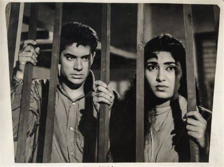 Salim Khan: Unveiling His Staggering Net Worth