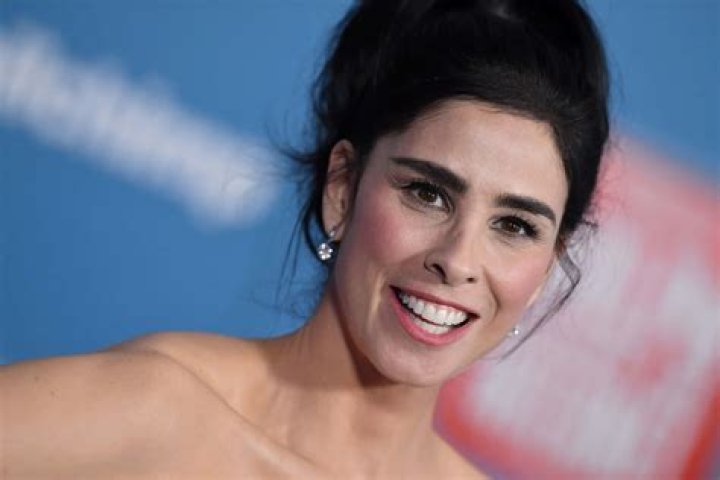 Sarah Silverman's Sibling: A Family Connection