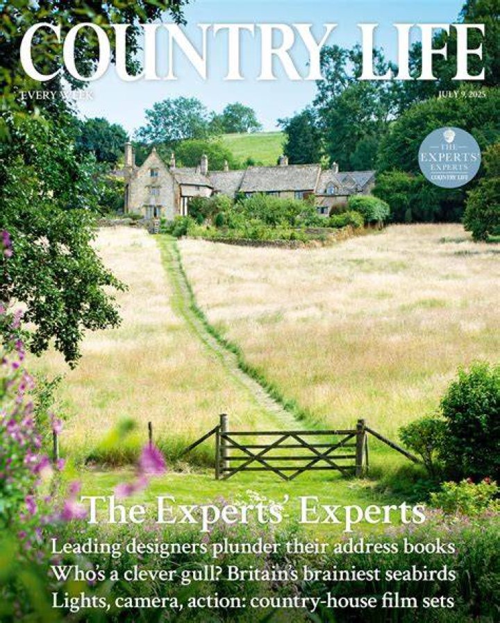 Secrets Of The Country Life: Uncovering The Net Worth Of Vloggers